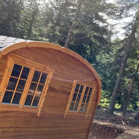 Insolites Chabanon Chalet Selonnet